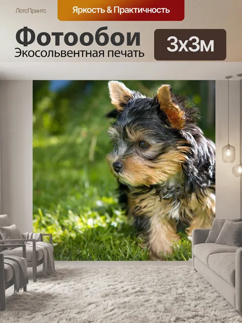 Фотообои Собака