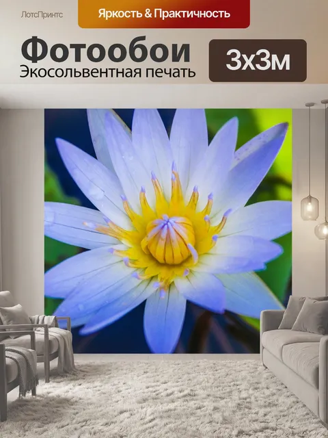 Фотообои красивый цветок лотоса