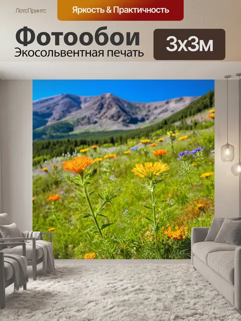 Фотообои полевые цветы на фоне горного пейзажа