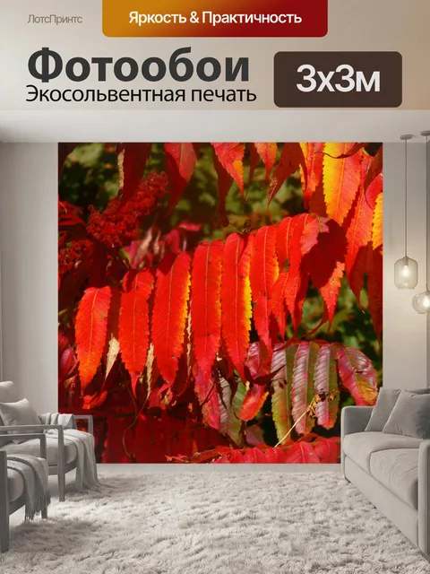 Фотообои Аккуратные осенние листья