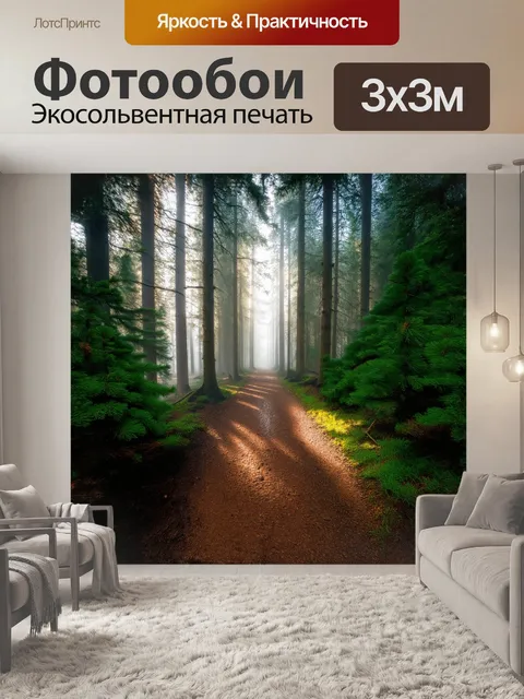 Фотообои узкая тропинка пронизывает еловый лес