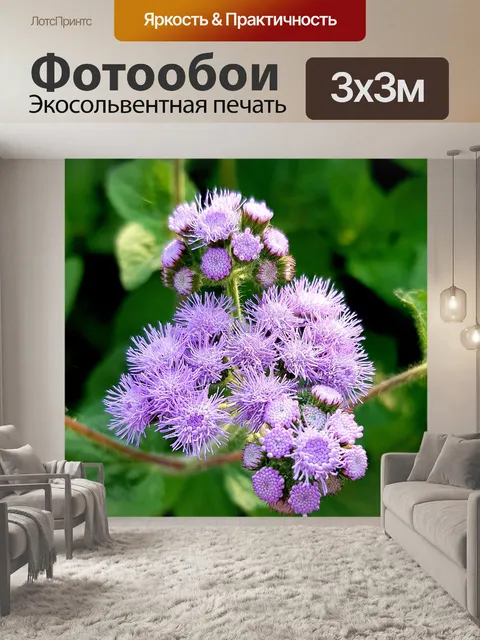 Фотообои Цветок