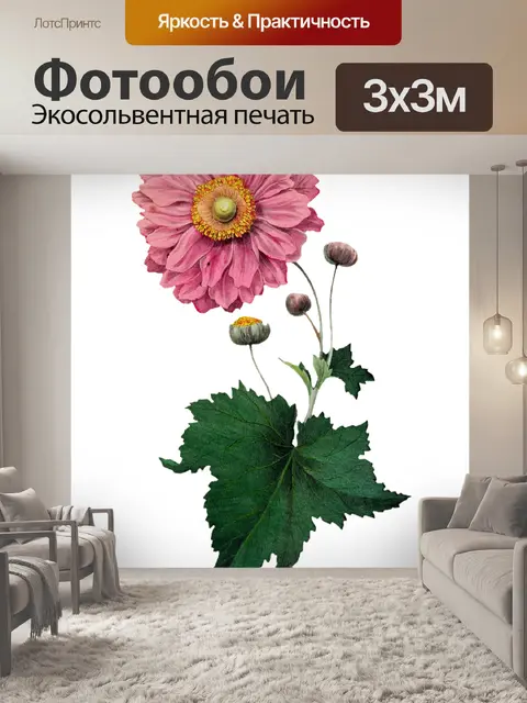 Фотообои Клипарт Цветочная роспись искусства