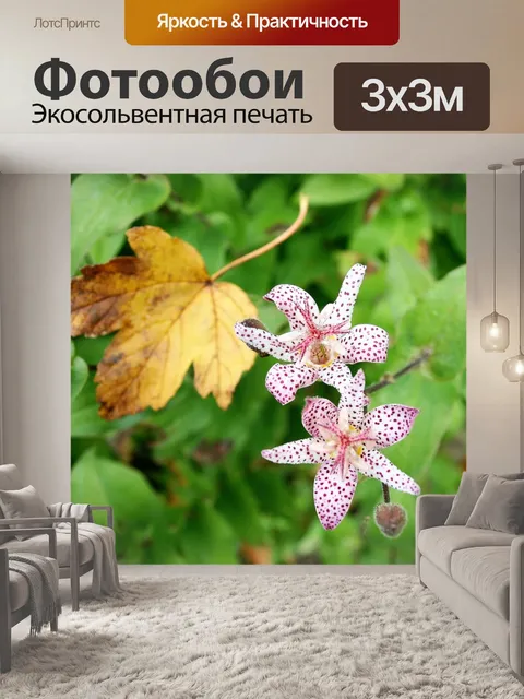 Фотообои Сад