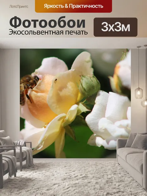 Фотообои Пчела