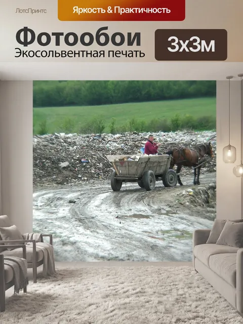 Фотообои Румыния