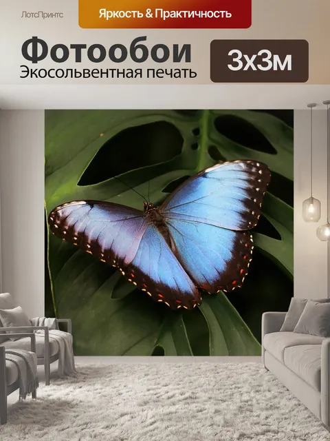 Фотообои Небо бабочка