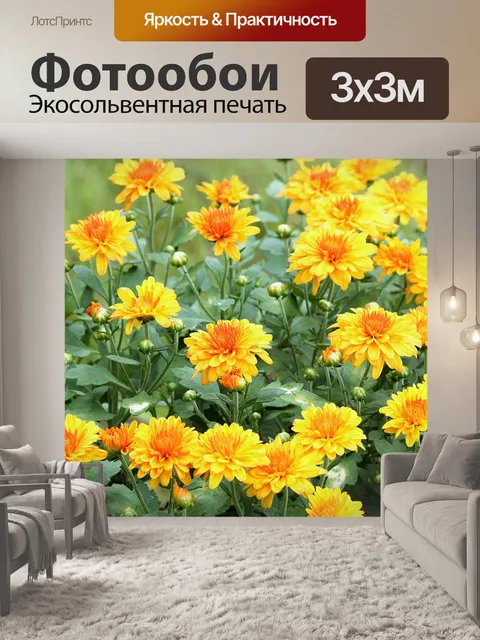 Фотообои Оранжевые хризантемы