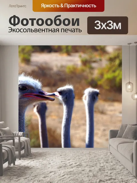 Фотообои Страус