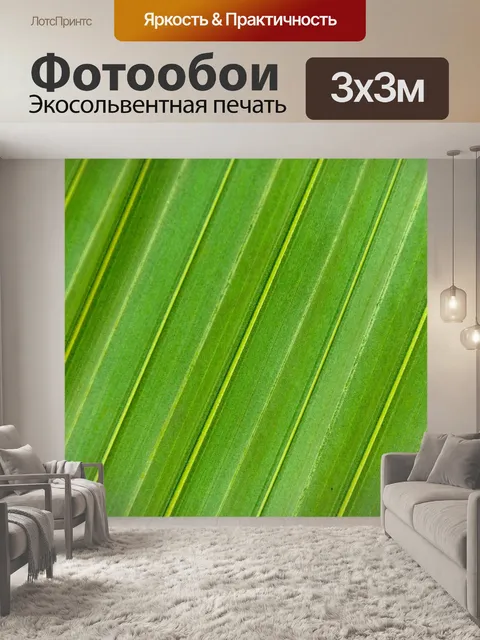 Фотообои Зеленый лист пальмы