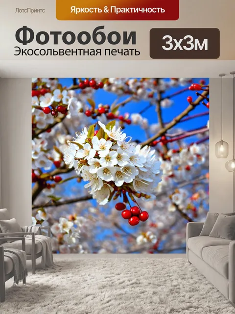 Фотообои лес в цветении весной: белые цветы черемухи расцветают на фоне яркого неба