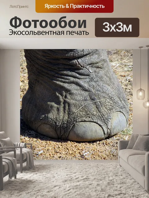 Фотообои Африка