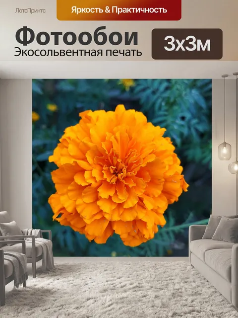 Фотообои Календулы цветок