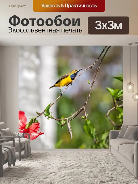 Фотообои Птица