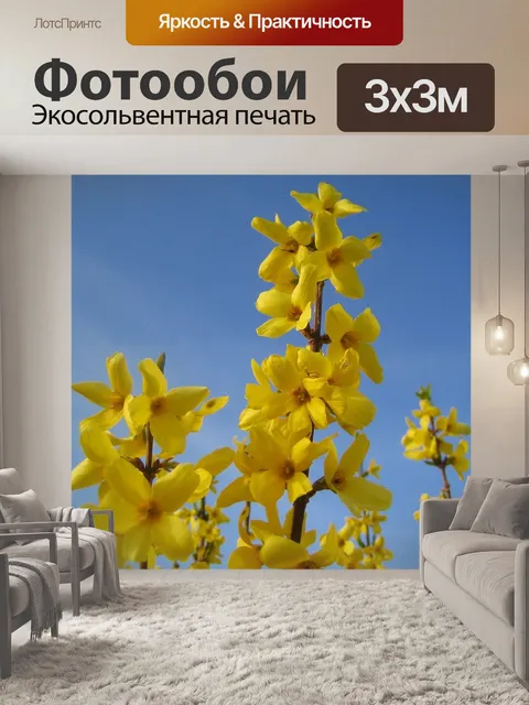 Фотообои Форсайтия