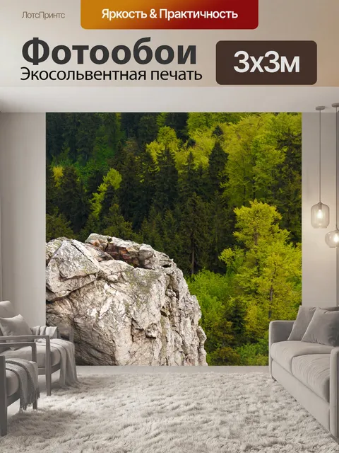 Фотообои большой камень в лесу