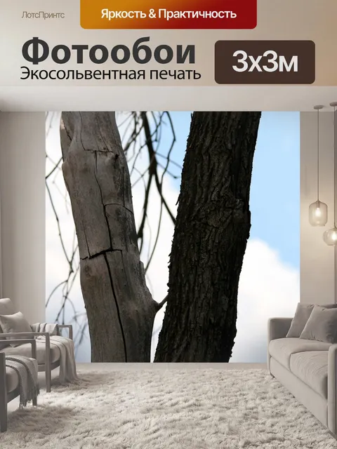 Фотообои трещины в стволе дерева