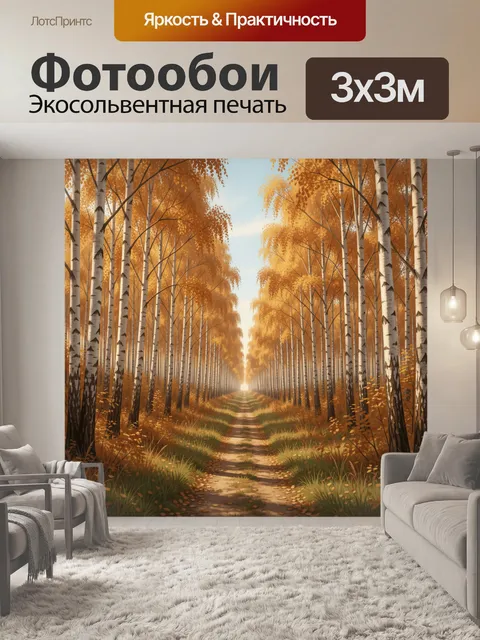 Фотообои Осенний березовый коридор