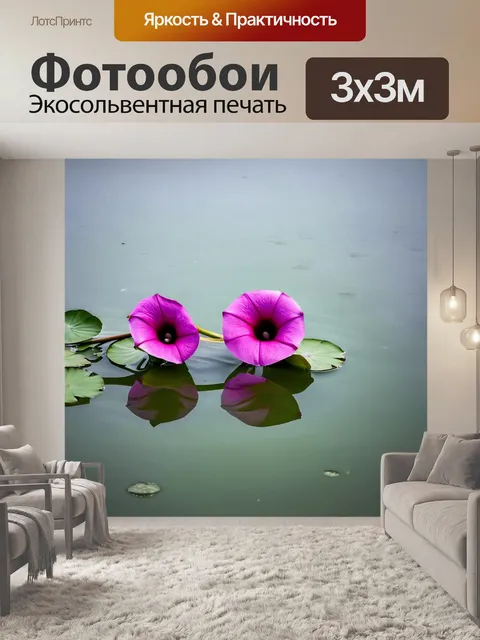 Фотообои утренние цветы славы, покоящиеся на поверхности спокойной воды пруда, отражают приглушенные цвета неба