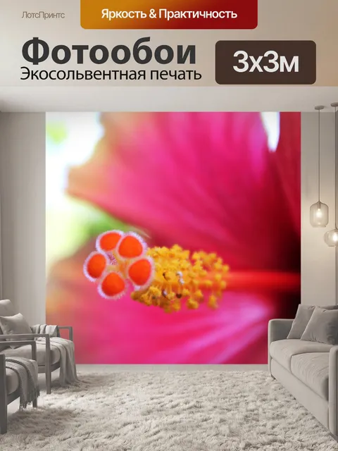 Фотообои Gumamela пыльника
