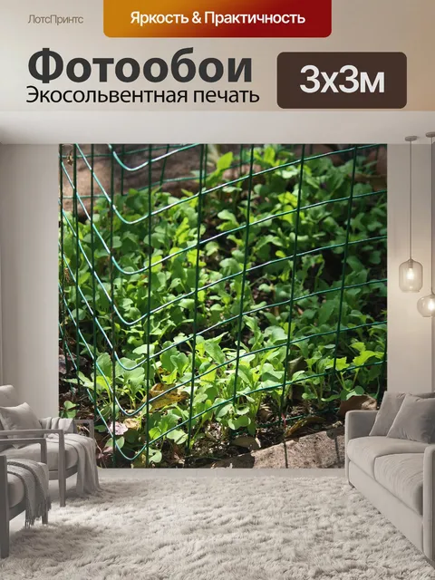 Фотообои Молодая рассада внутри ограждения