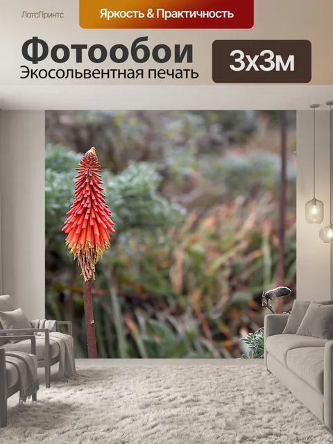Фотообои Цветок