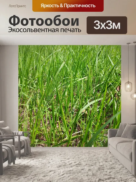 Фотообои зеленая трава обои