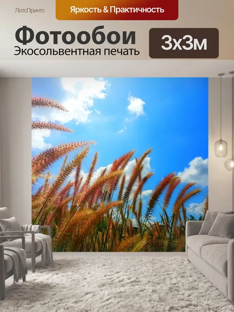 Фотообои Синее небо
