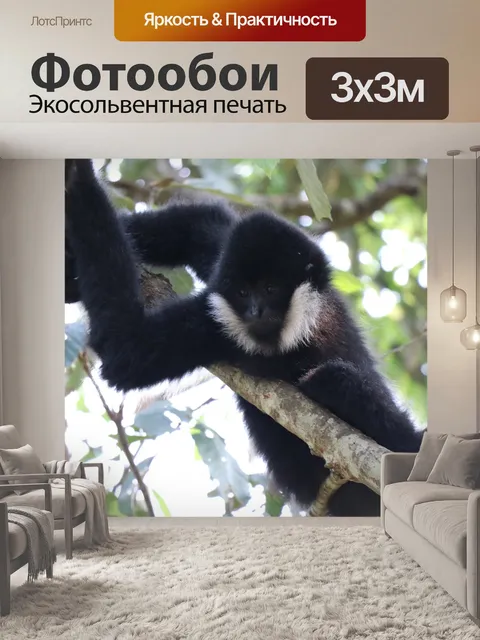 Фотообои Обезьяна