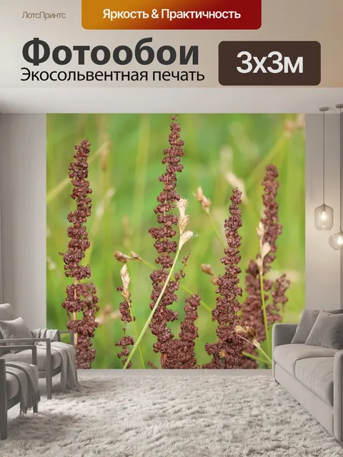 Фотообои Трава