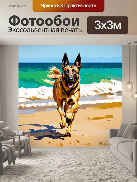 Фотообои бельгийская овчарка малинуа, мчащаяся по песчаному пляжу, её хвост задорно колышется на ветру