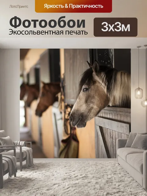 Фотообои Лошадь