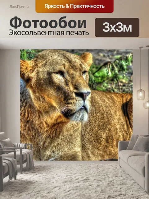 Фотообои Лев