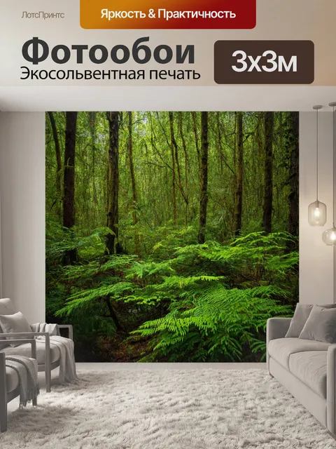 Фотообои лес с редкими растениями, созидающими эксклюзивные виды