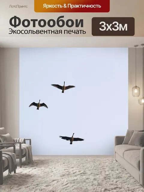 Фотообои Птицы