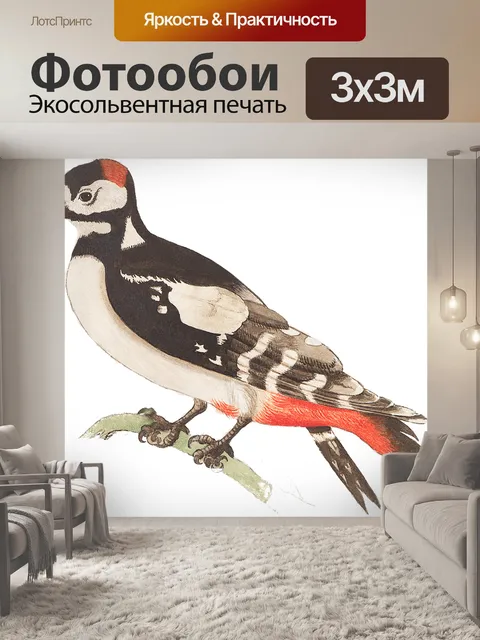Фотообои пятнистый дятел