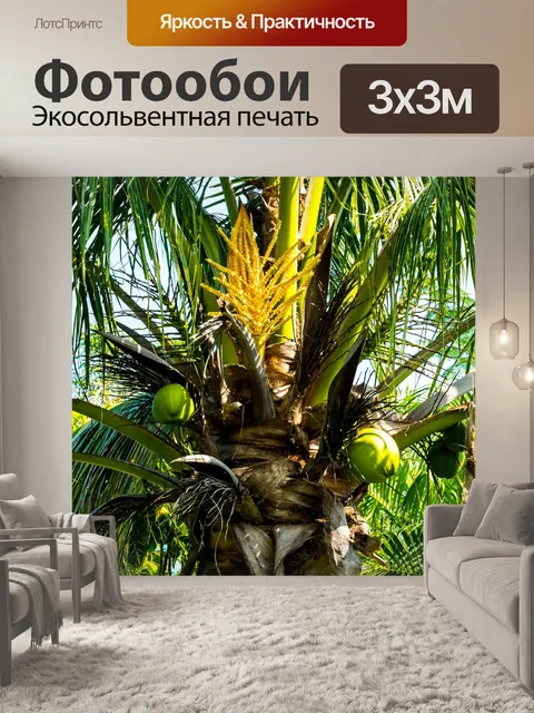 Фотообои Пальма