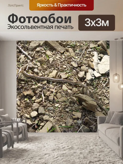 Фотообои Лестница змея
