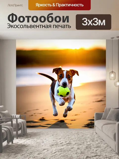 Фотообои джек рассел терьер в движении, ловит мяч на пляже в лучах закатного солнца