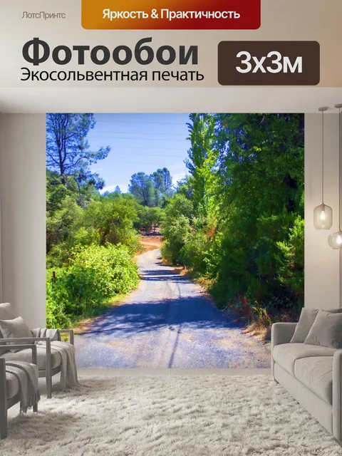 Фотообои Проселочная дорога