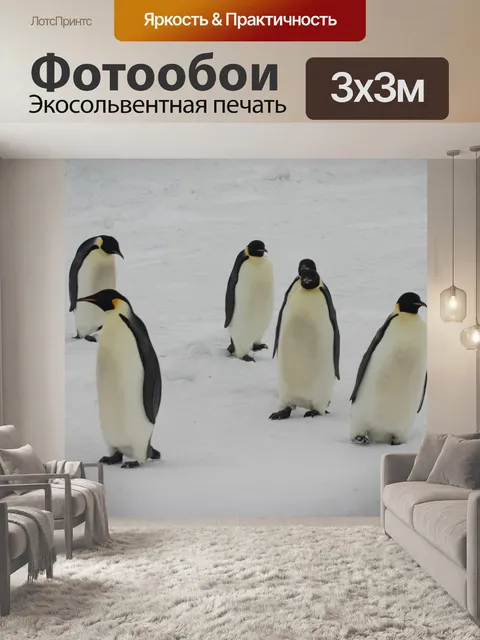 Фотообои Императорские пингвины