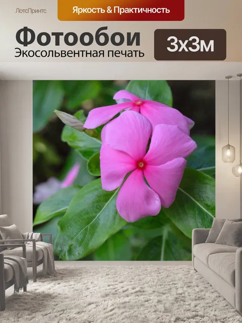 Фотообои Розовый цветок