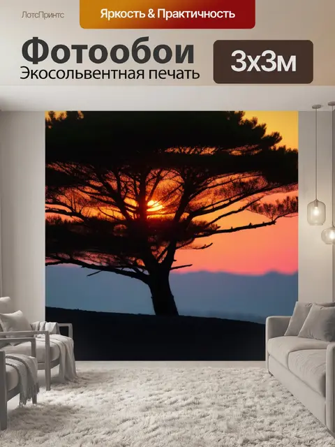 Фотообои сосна на фоне яркого заката