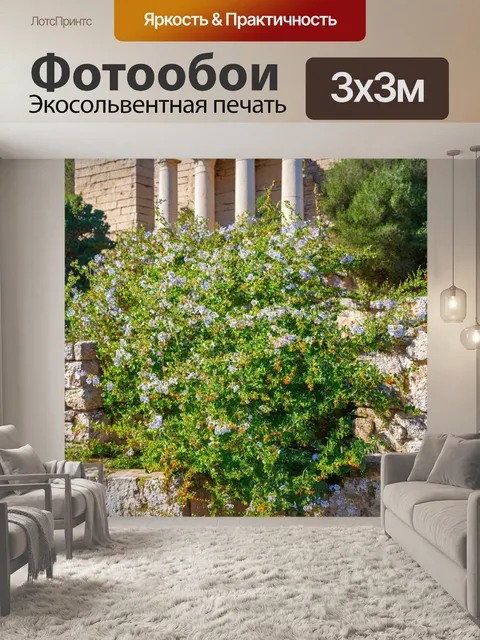Фотообои греческие руины старого города, среди которых растут цветы и ягоды