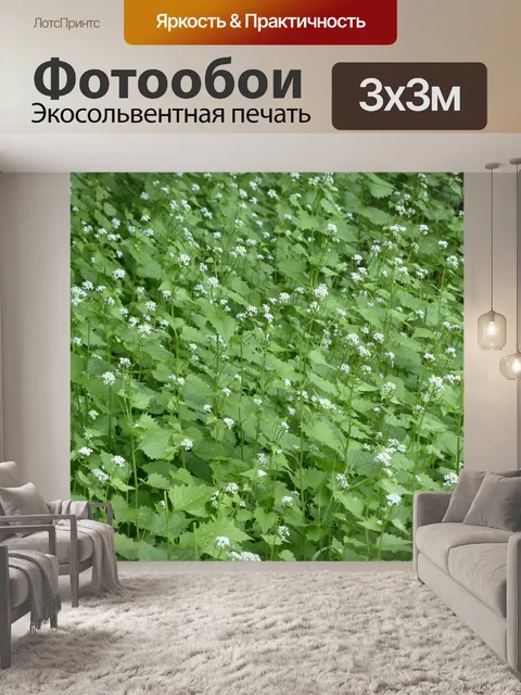 Фотообои Чесночная горчица
