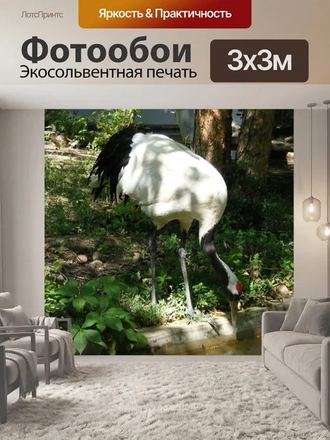 Фотообои Японский журавль