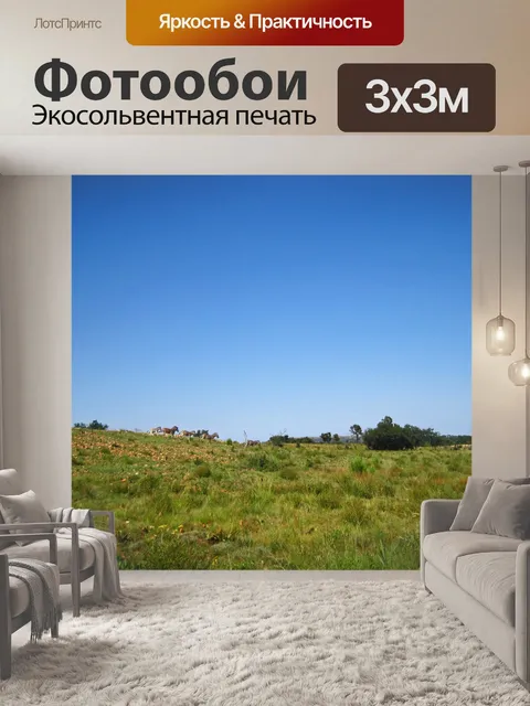 Фотообои зебра спускается по склону