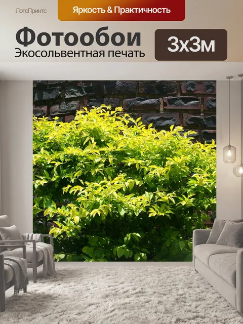 Фотообои ярко-зеленый кустарник