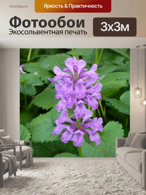 Фотообои Цветение губ