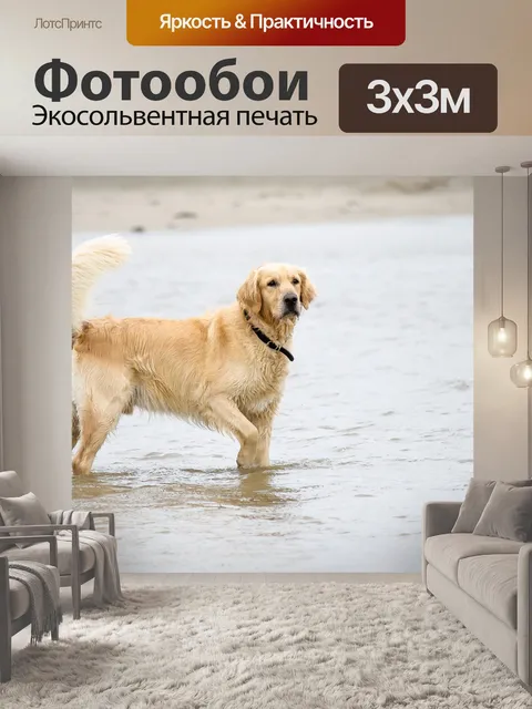 Фотообои Собака